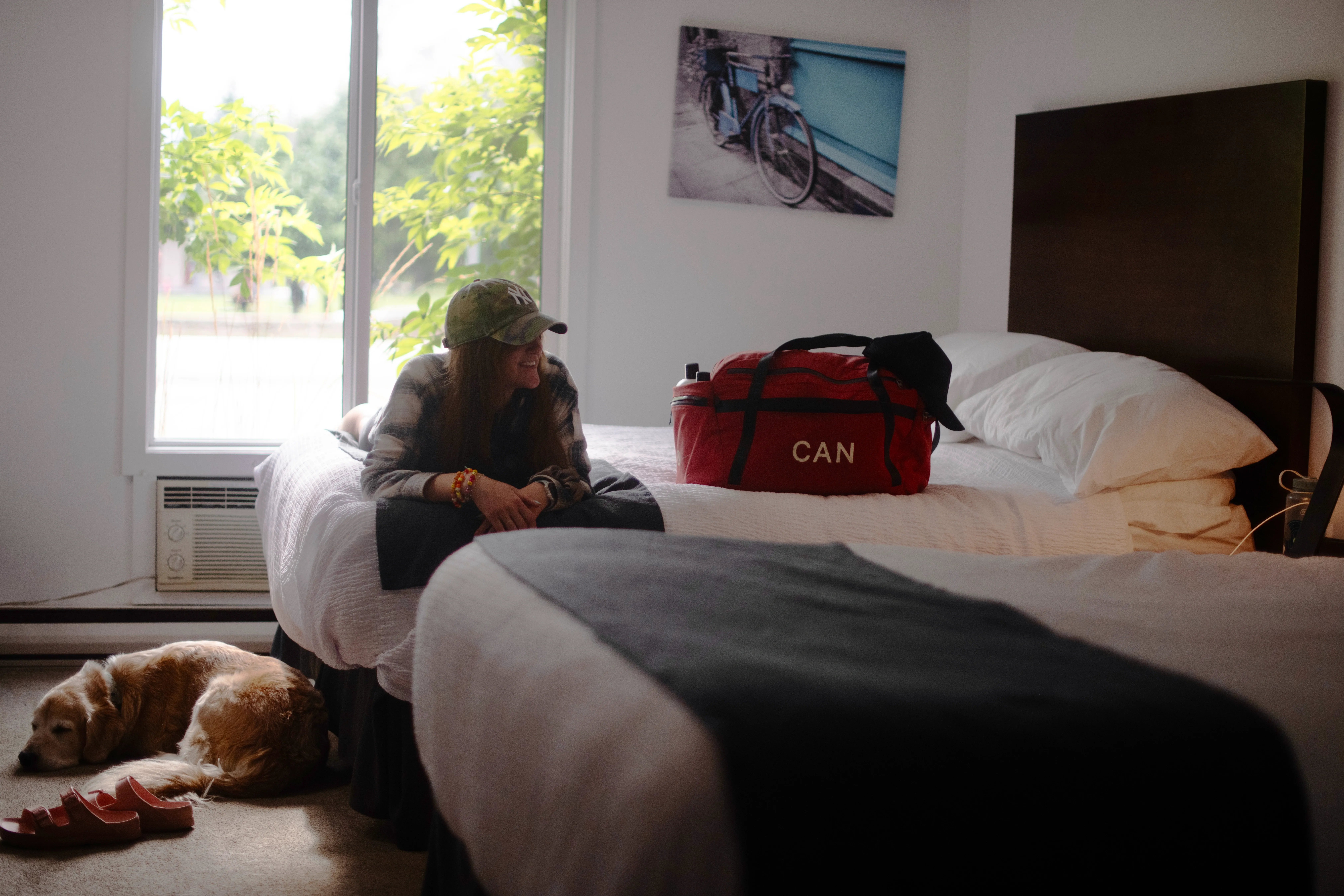 Pet Friendly Accommodation