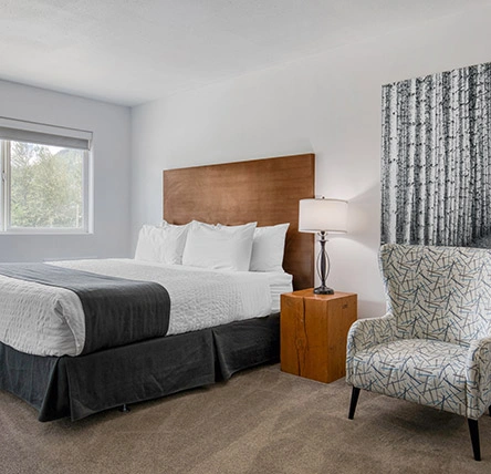 1 King Bed 1