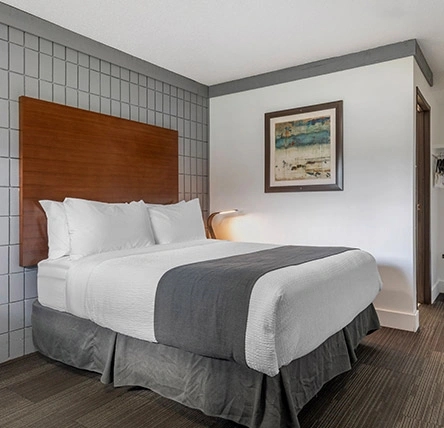 1 Queen Bed 1